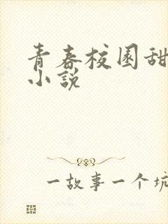 青春校园甜宠的小说