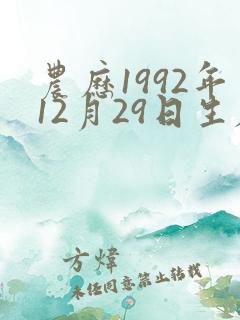 农历1992年12月29日生辰八字