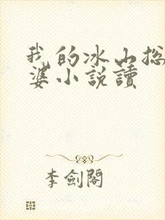 我的冰山总裁老婆小说读