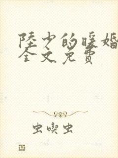 陆少的暖婚新妻全文免费