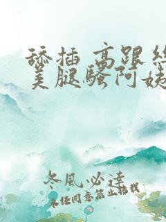 舔插 高跟丝袜美腿骚阿姨