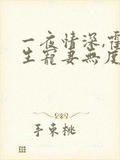一夜情深,霍先生宠妻无度完本