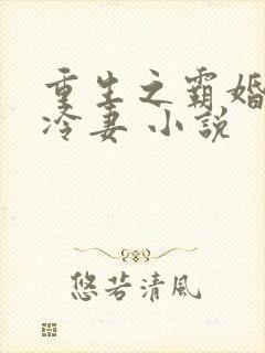 重生之霸婚豪门冷妻 小说