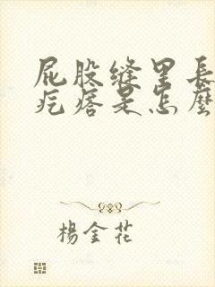 屁股缝里长了个疙瘩是怎么回事