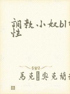 调教小奴bl双性