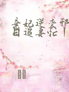 弃妃逆袭邪王日日追妻忙丨