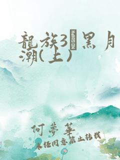 龙族3·黑月之潮(上)