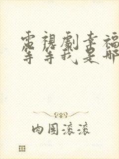 电视剧幸福请你等等我是哪年拍的