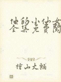 他的小仙女小说全集免费阅读