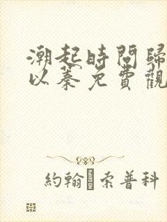 潮起时问归期江以蓁免费观看短剧