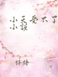 小天受不了给我小说