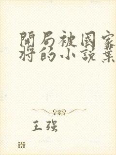 开局被国家封少将的小说叶凡
