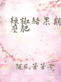辣椒结果期施什么肥