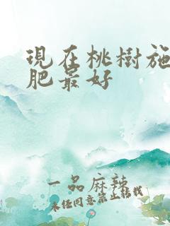 现在桃树施什么肥最好