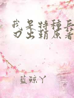 我是特种兵之利刃出鞘原著