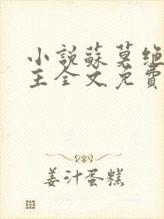 小说苏莫绝代神主全文免费阅读