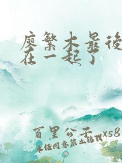 廖繁木最后和谁在一起了