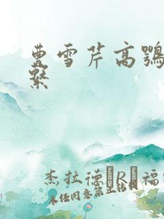 曹雪芹高鹗的关系