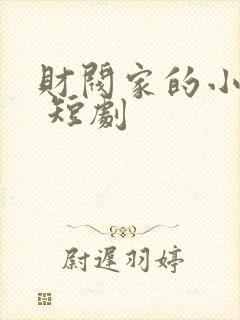 财阀家的小儿子 短剧