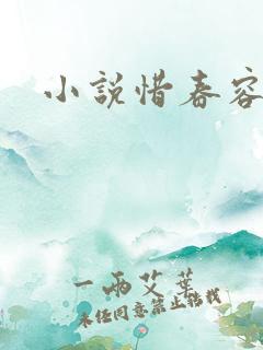 小说惜春容