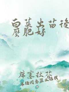 白菜出苗后施什么肥好