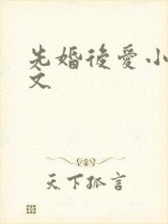 先婚后爱小说推文