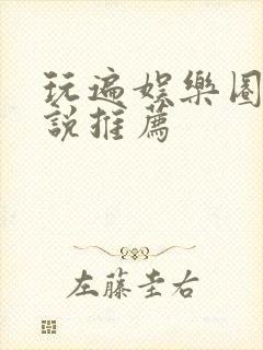 玩遍娱乐圈的小说推荐