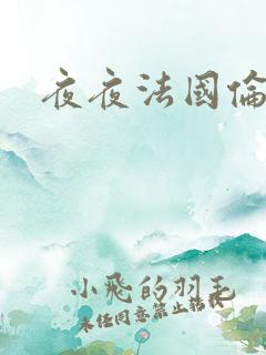 夜夜法国伦理片