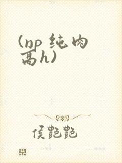 (np 纯肉 高h)