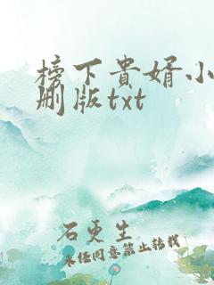 榜下贵婿小说未删版txt