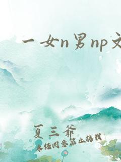 一女n男np文