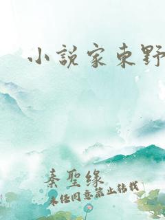 小说家东野圭吾