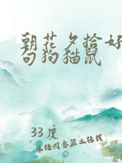 朝花夕拾好词好句狗猫鼠