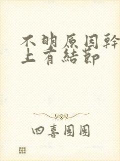 不明原因干咳肺上有结节