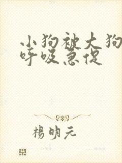 小狗被大狗咬了呼吸急促