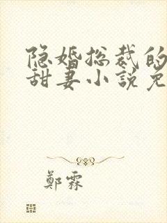 隐婚总裁的绯闻甜妻小说免费阅读