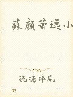 苏颜萧逸小说
