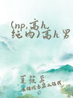 (np,高h,纯肉)高h男男
