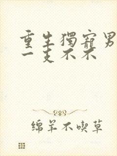 重生独宠男妻 一支不不