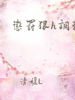 惩罚狠h调教