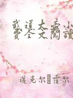 武道大帝小说免费全文阅读一