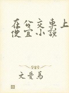 在公交车上被占便宜小说