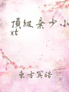 顶级弃少小说txt