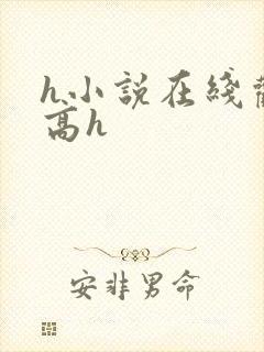 h小说在线观看高h