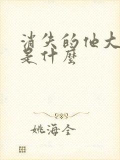 消失的他大结局是什么