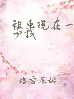 租车现在一天多少钱