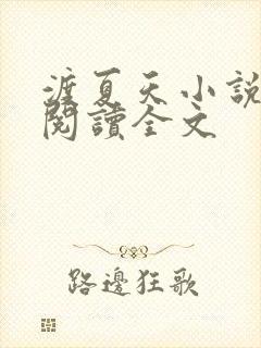 渡夏天小说免费阅读全文
