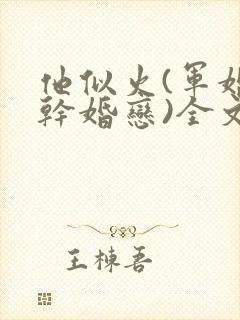 他似火(军婚高干婚恋)全文