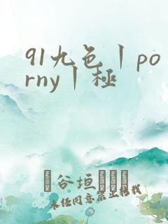 91九色丨porny丨极