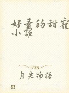 好看的甜宠言情小说